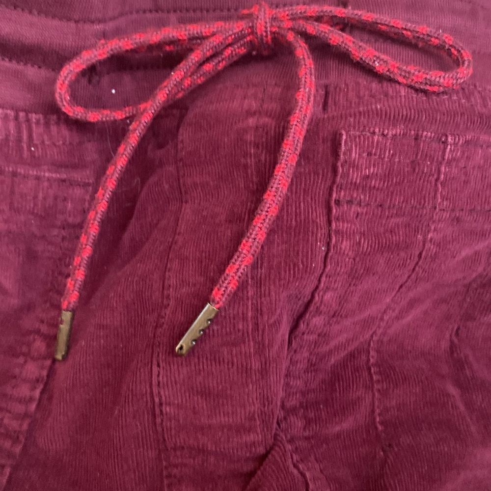 GOODBYE  🌻 anthropology courdaroy burgundy cargo joggers - Picture 6 of 11